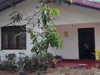 House for Sale in Gampaha - Minuwangoda ( දේපල අංක 36-2819 )