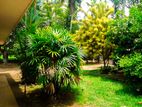 House for Sale in Gampaha - S13