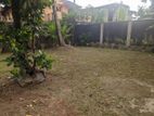 House For Sale In Ja-Ela