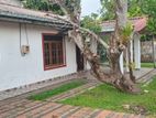 House for Sale in Kandana