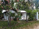 House for sale in kurunegala