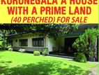 House for Sale in Kurunegala
