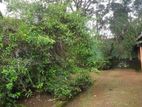 House for Sale in Malabe (file No - 1837 A) Thalahena