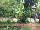 House for Sale in Matara