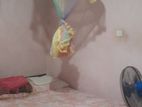 House for Sale in Mawathagama
