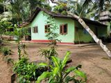 House for Sale in Naiwala