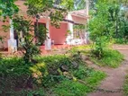 House for Sale in Nattaranpotha-Kandy (SSPH-150)