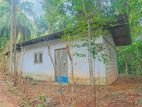 House for sale in Nittambuwa / SA 15432