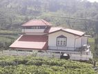 House for Sale in Nuwara Eliya