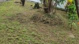 House for Sale in Panadura