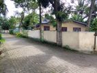 House for Sale in Piliyandala Land Value