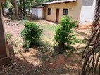 House for sale in Pubudupura | Anuradapura