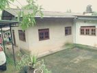 House for Sale in Ragama Thewatta