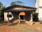 House for Sale in Udupila Delgoda Plot 01
