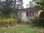 House for Sale - නිවසක් සමග ඉඩම විකිනීමට Kaleliya