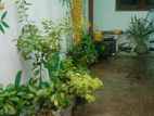 House for Sale – Piliyandala