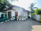House For Sale Warella Waththa Kimbulapitiya Negombo Gampaha