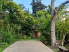 House for Sale with A Valuable Land in Galle