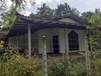 House With Land For Sale In Ibbagamuwa