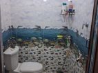 House for Sale Gothatuwa