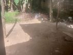 House four sale Angoda