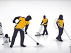 Land Cleaning Services