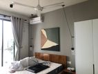 House painting