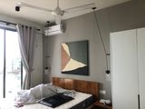 House painting