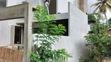 House Painting Service