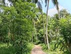 HOUSE RENT IN KATUNAYEKA