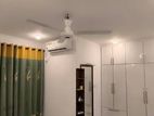 House Rent in Thalawathugoda