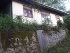House Rent Near Primrose Garden, Kandy