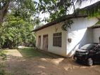 House Sale in Nittabuwa