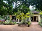 House with 1 Acre Coconut Land for Sale in Dompe