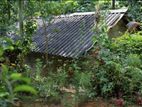 House with 25 Perch Land for Sale in Galaha
