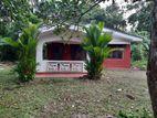 House with 26.5P Land for Sale in Hikkaduwa