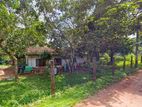House with 35 Perches Land for Sale in Orutota, Gampaha.