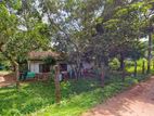 House with 35 Perches Land for Sale in Orutota, Gampaha
