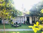 house with 40 perches land sale