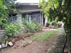 House With A Land For Sale In Nugegoda - CL829