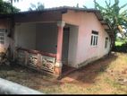 House with A Land Sale Anuradhapura