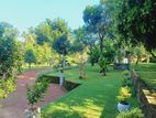 House with a large garden For Sale in Negombo