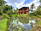 House With a Stunning Garden & Natural Pond View - Pannipitiya