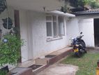 House with Beautiful Garden for Rent in Panadura