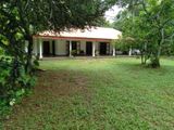 House with Land for Rent Between Ambagaspitiya to Malwathuhiripitiya