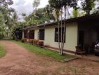 Commercial property for rent in Weliweriya