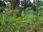 House with Land for Sale Baddegama