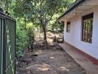 House with Land for Sale Digana