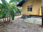 House with Land for Sale in Negombo