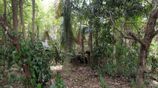 House with Land for Sale in Bibile